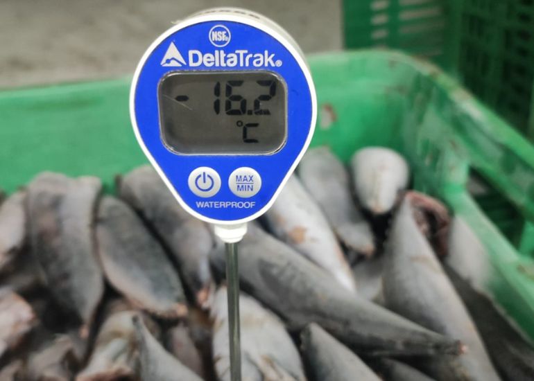 Diseño sin título (41)