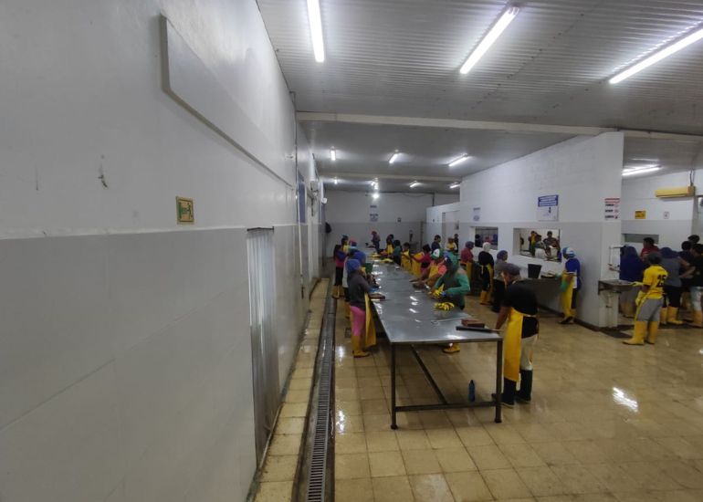 Diseño sin título (42)