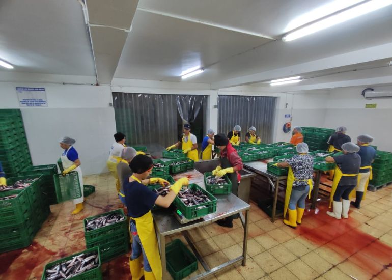 Diseño sin título (43)